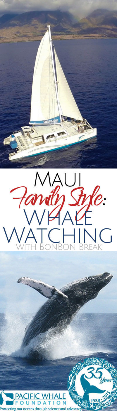 Maui Family Style: Whale Watching with Pacific Whale Foundation