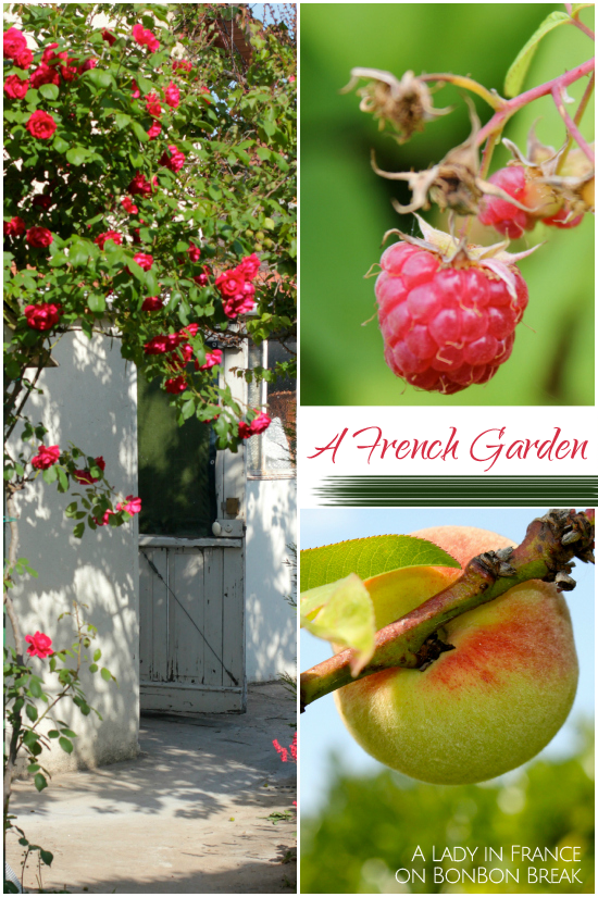My French Garden: Before and After