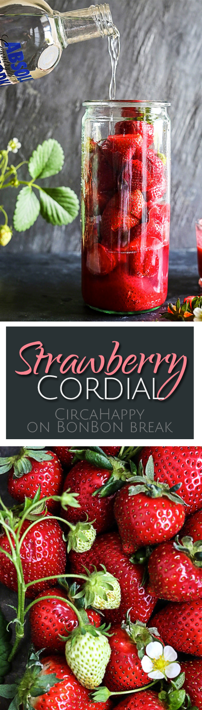DIY Strawberry Cordial lets you capture the goodness of fresh, seasonal strawberries to help you enjoy their fresh, sweet flavor when they disappear.