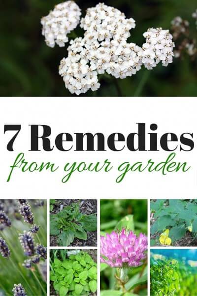 7 Remedies From Your Garden