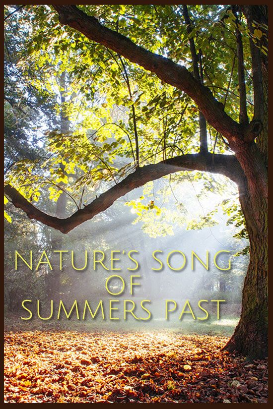 Nature's Song of Summers Past
