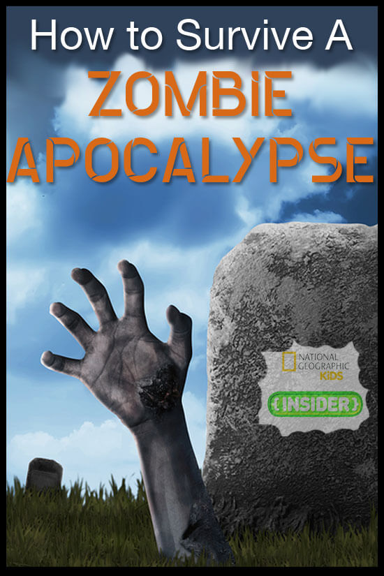 Tips on How to Survive a Zombie Apocalypse