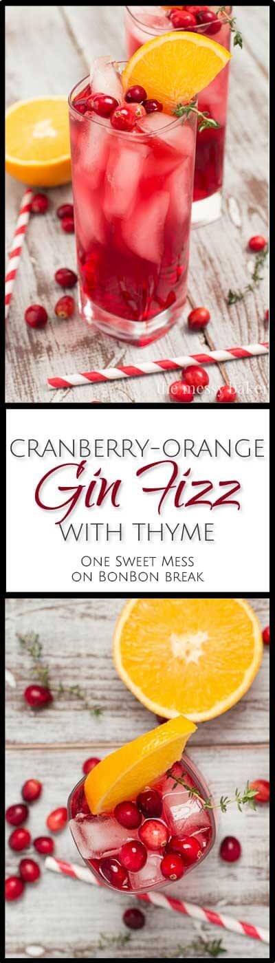 Cranberry Orange Gin Fizz | BonBon Break