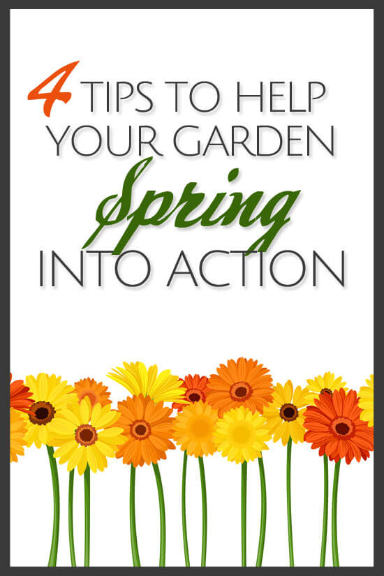 4 Tips to Help Your Garden Spring Into Action | BonBon Break