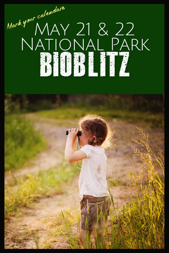 Mark your calendars for May 21 & 22. It's time for BioBlitz!