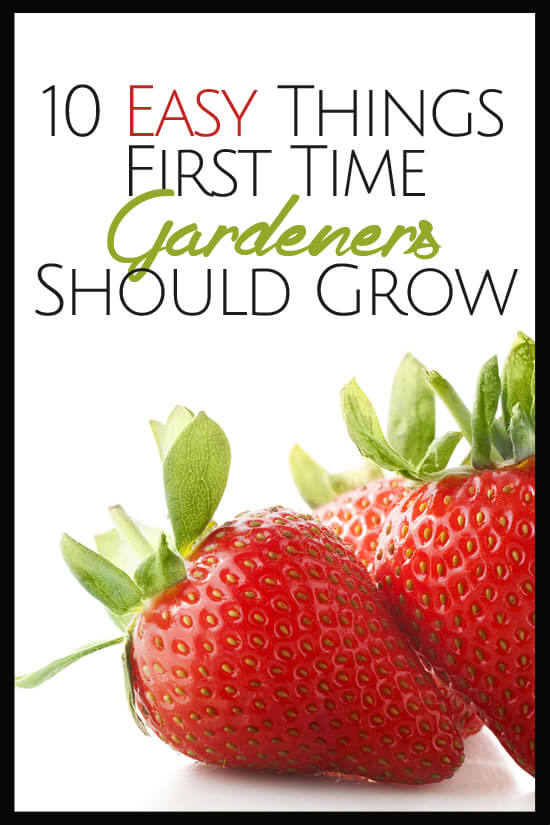 10 Easy Things First Time Gardeners Should Grow