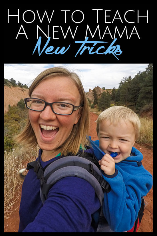 How to Teach a New Mama New Tricks