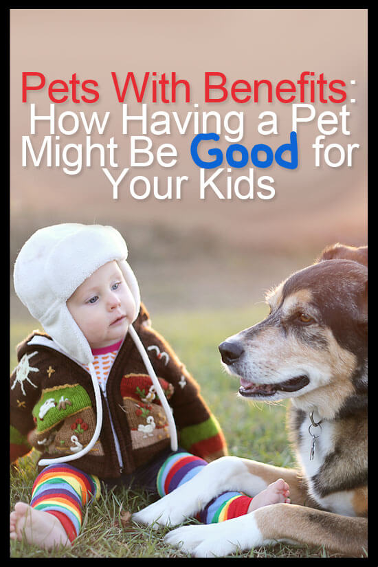 There are lots of reasons why you shouldn’t have pets if you have a baby or small child at home. However, there are studies that have shown health benefits of owning a pet.