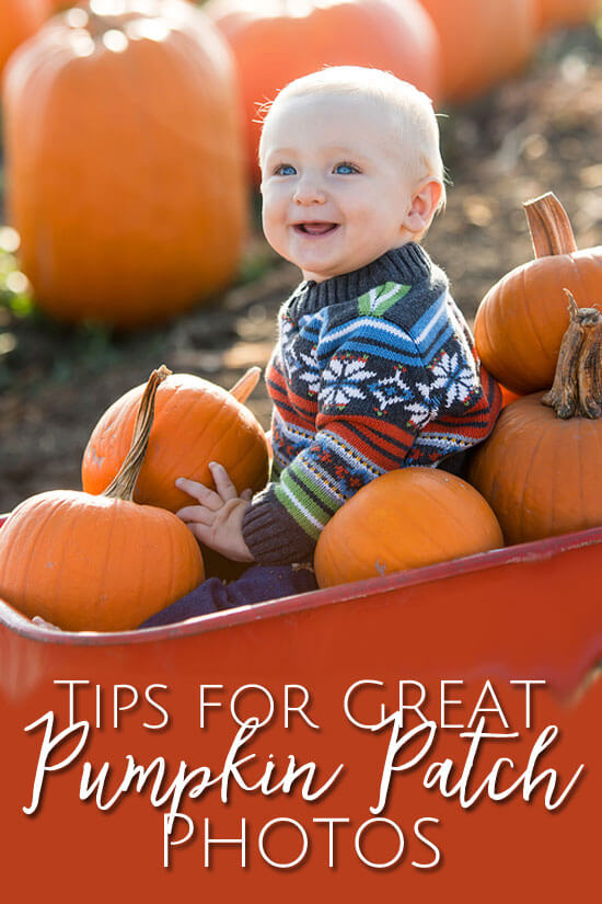 All the tips you need to take great pumpkin patch photos.