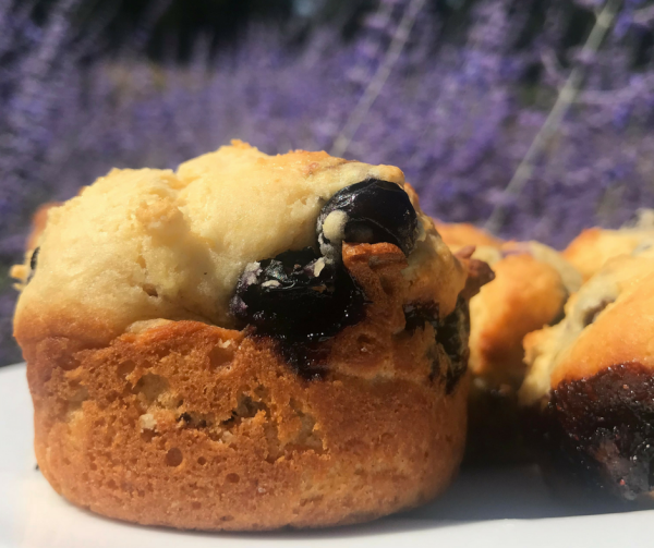Easy Gluten-free Blueberry Muffins