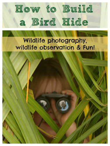 Build a Bird Hide #outdoors