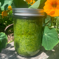 Fresh Nasturtium Pesto Recipe